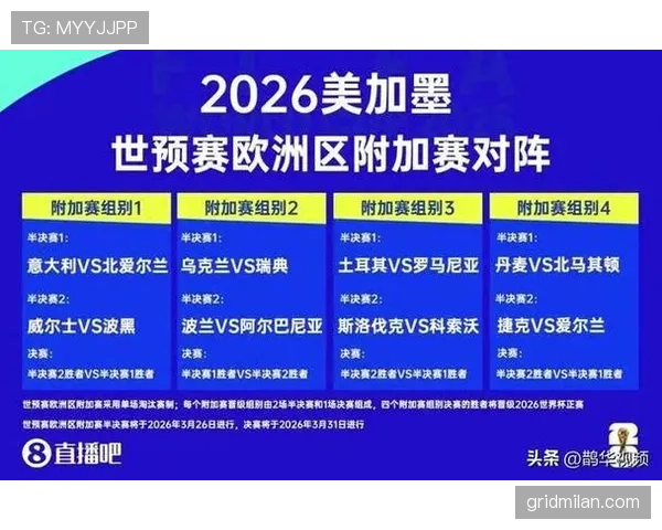 波黑2026世界杯预选赛赛程分析与晋级前景预测